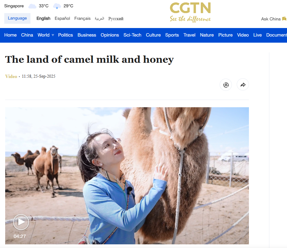 CGTN报道丨驼奶产业撬动乡村振兴，千年游牧文明焕发新生机！