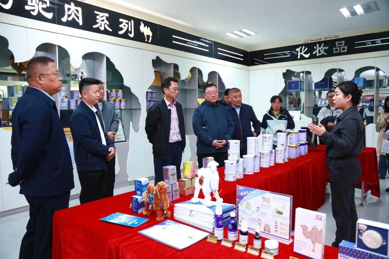 聚焦骆驼产业，共探高质量发展新路径