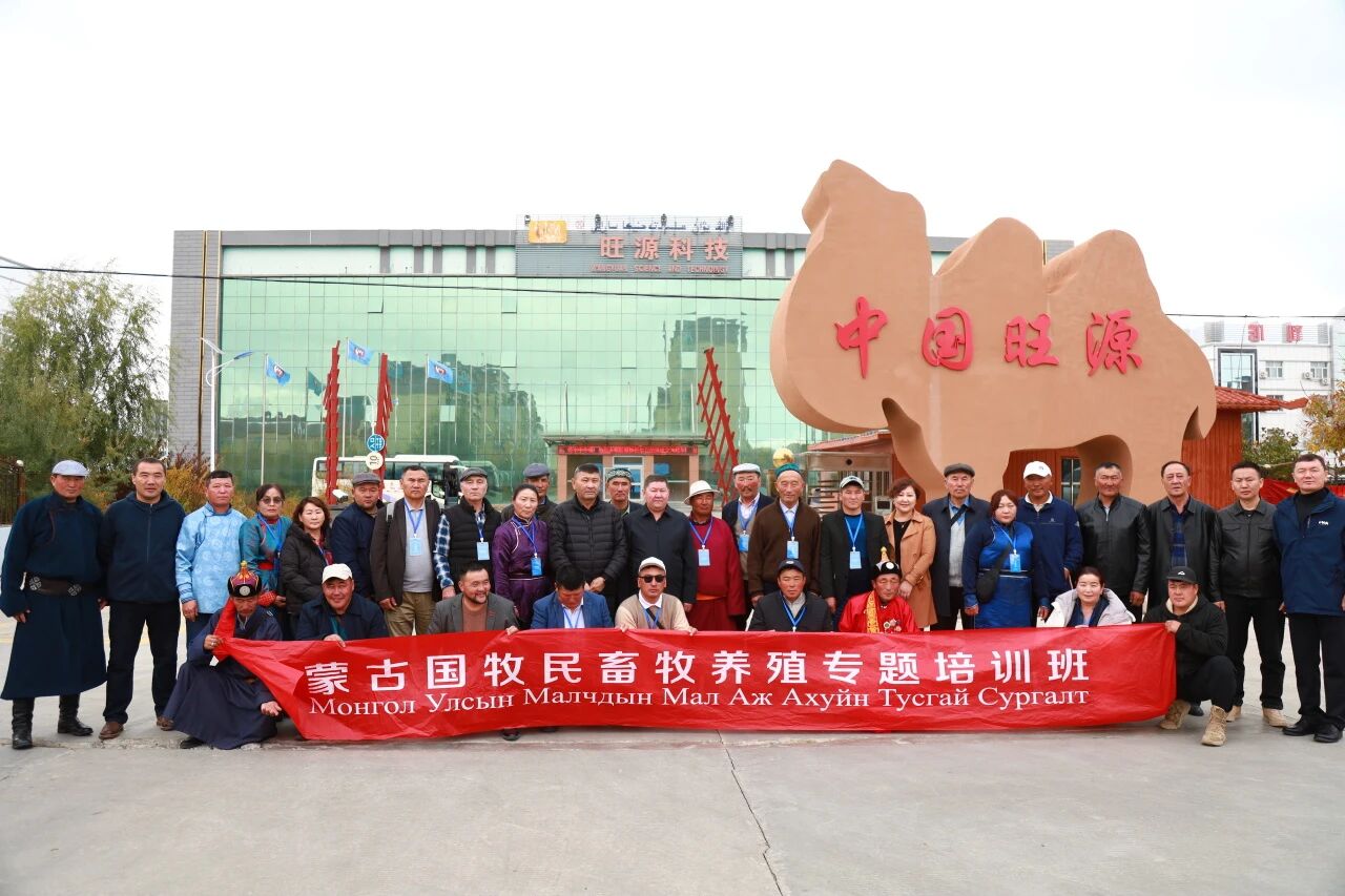 中蒙骆驼产业交流再深化,共绘区域特色发展新蓝图!