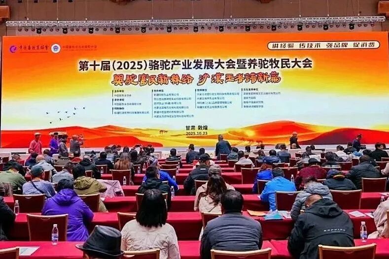 第十届(2025)骆驼产业发展大会在敦煌召开,共创产业高质量发展